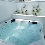 Olive Tree With Jacuzzi