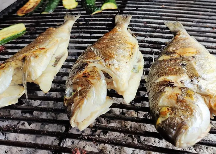 Olive Tree With Jacuzzi *